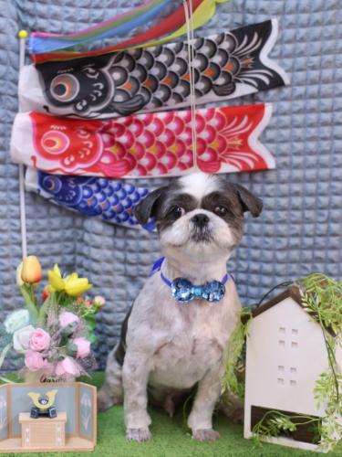 20230517大吉くん